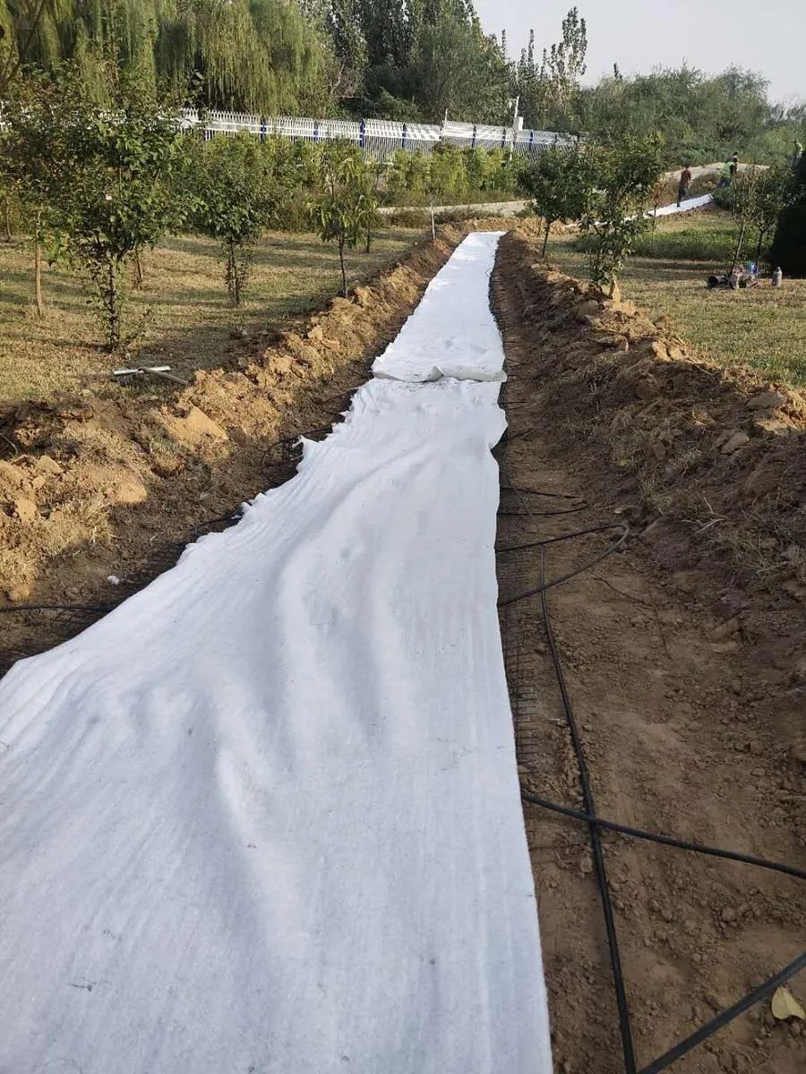 穿越回殷商王朝？15萬片甲骨的安全我來守護(hù)！(圖5)